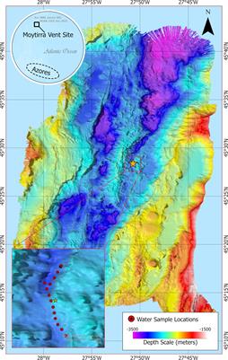 Drifting in the deep: Metatranscriptomics and metabarcoding reveal sustained metabolic activity and community composition in hydrothermal vent plume microbial communities